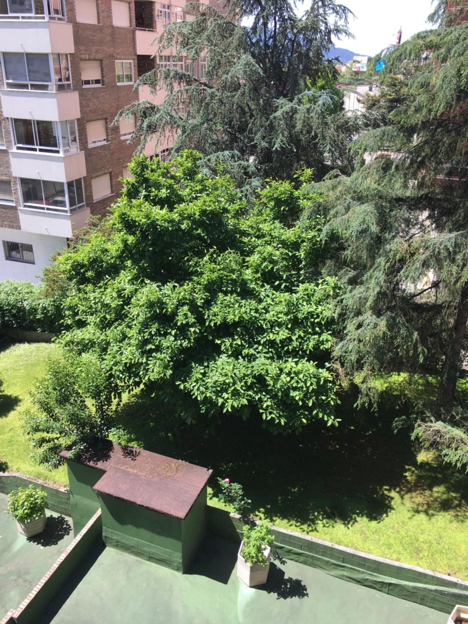 Gaivota Amplio Y Luminoso Con Plaza De Garaje Apartment Vigo Ngoại thất bức ảnh
